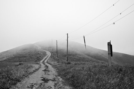 Into the Mist