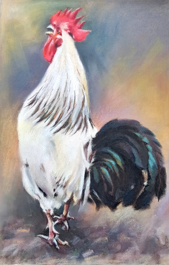 A crowing rooster
