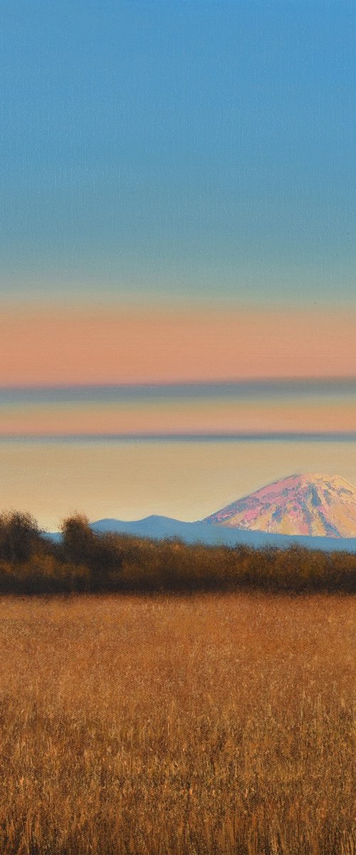 Mountain Wheat Field - Blue Sky Golden Field Landscape by Suzanne Vaughan