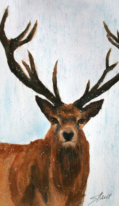 Deer  / Original Painting by Salana Art Gallery