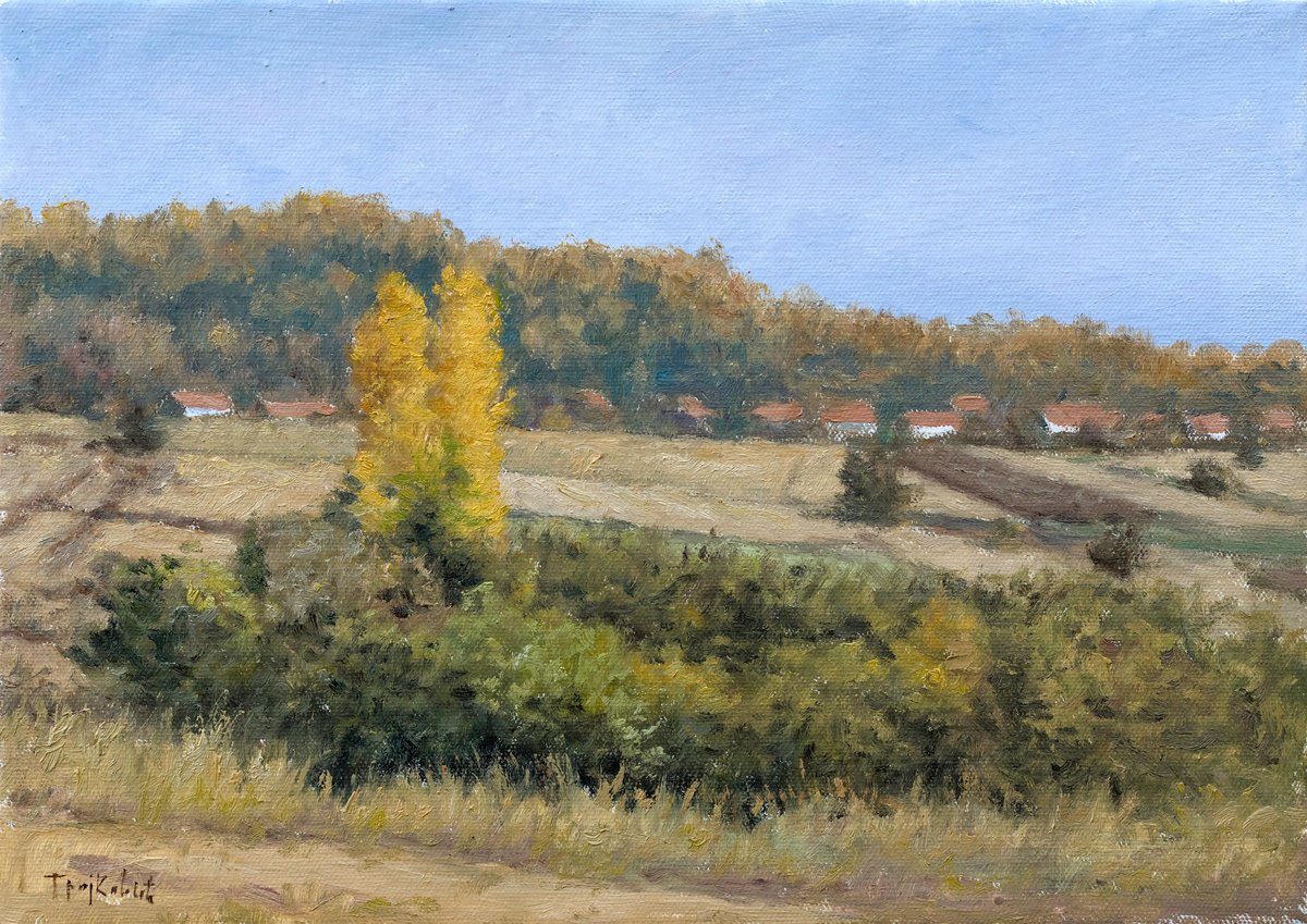 Impressionistic Landscape Oil Painting By Dejan Trajkovic, 20 X 17, Rural Landscape, Original Artwork
