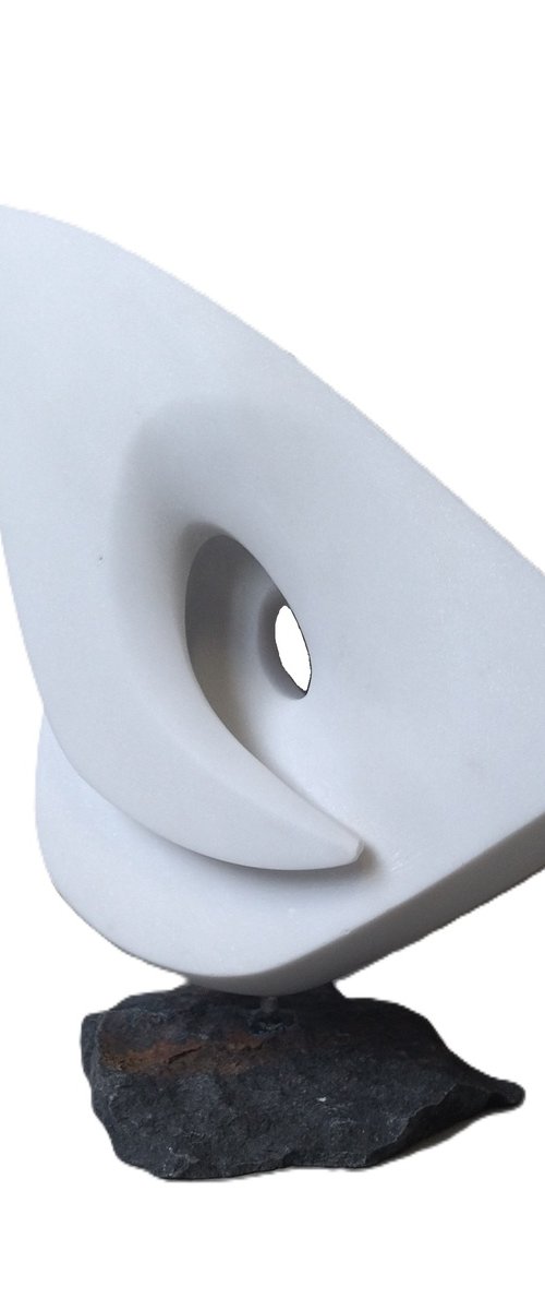 "Infinity" by Rasho Mitev