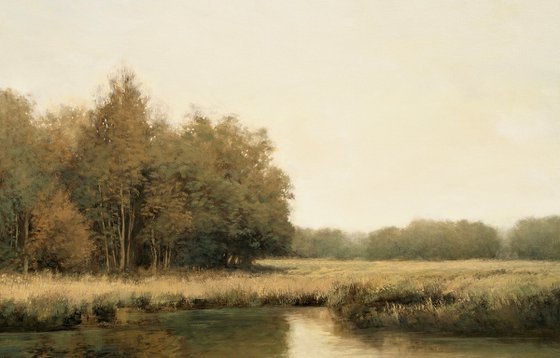 Autumn River Bank 251116