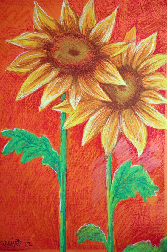 Two Sunflowers