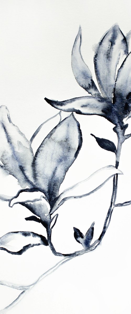 Magnolia No. 33 by Elizabeth Becker