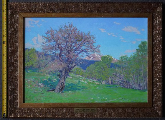 May. Spring in Teberda