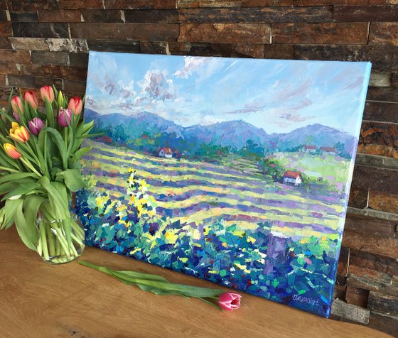 "The vineyards of Haloze"
