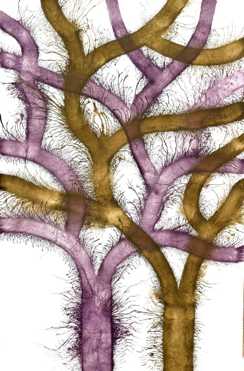 Abstract Acrylic Painting By Sumit Mehndiratta, 38 X 60", Exploflora Series No. 37, Original Artwork