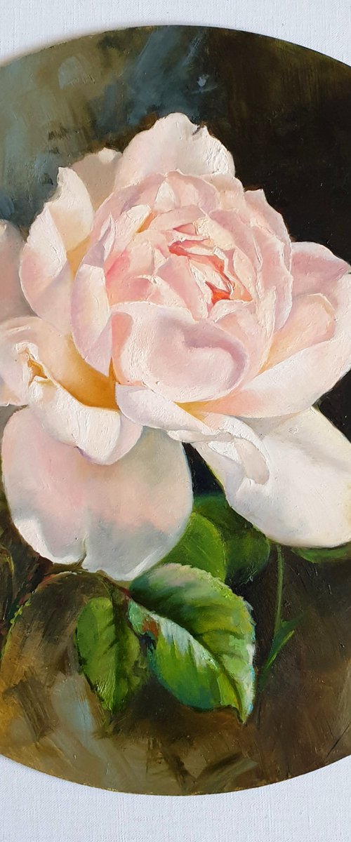"Flitter and tenderness."  rose flower  liGHt original painting  GIFT (2020) by Anna Bessonova (Kotelnik)