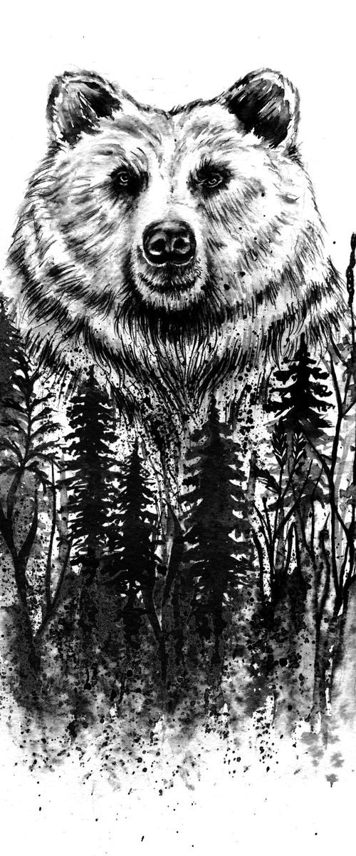Bear by Doriana Popa