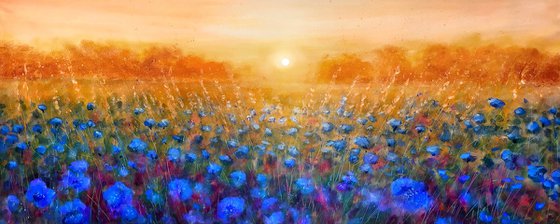 Sunset Sonnet, Cornflowers