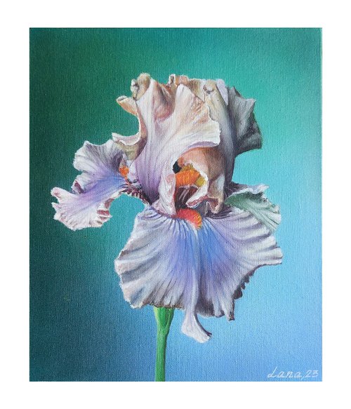 Iris painting,  realistic flowers art, irises flower painting, realistic art,  hyperrealism art by Svitlana Brazhnikova