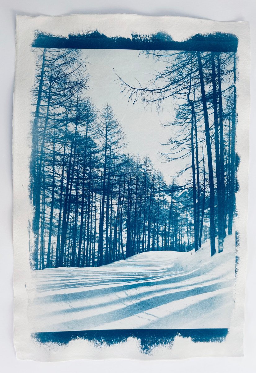 La Daille by Georgia Merton