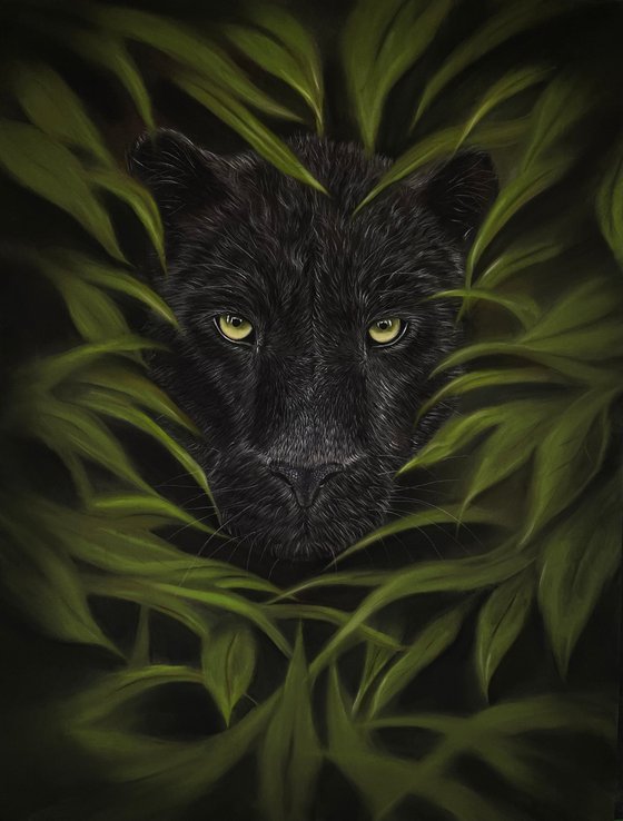 The Shadow