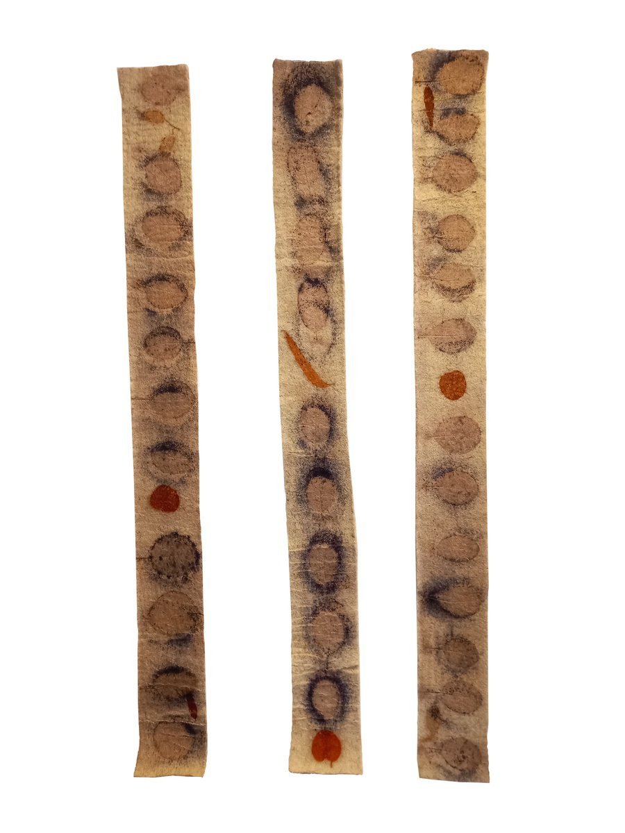 Impressionistic Botanical Relief By Irina Goleva, 12 X 41, Elements Xiv, Original Artwork