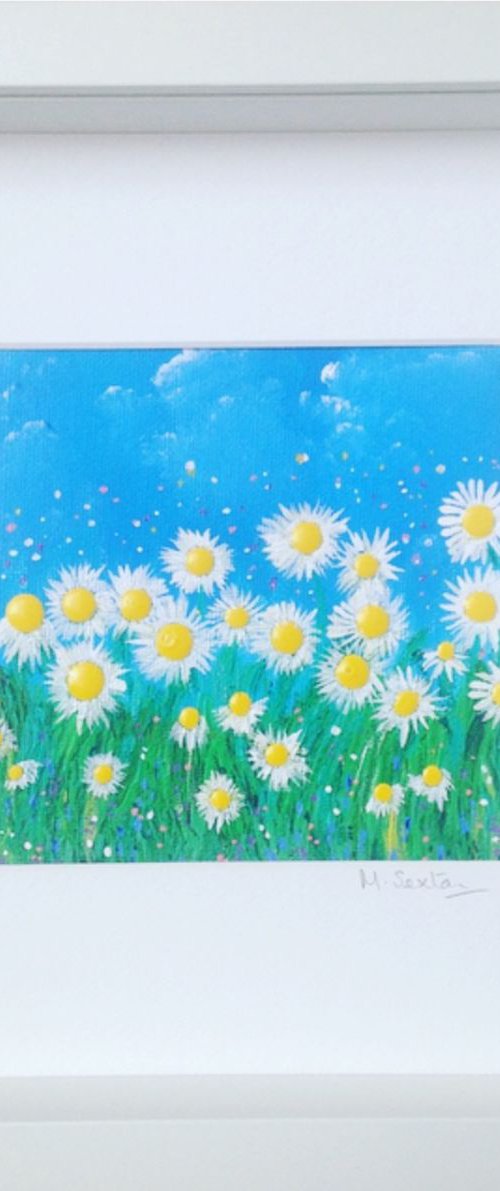 Miniature Daisies by Miki Sexton