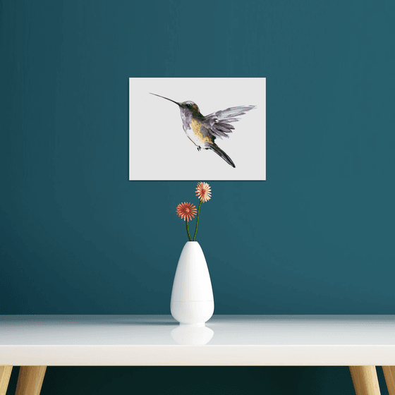 Flying Hummingbird