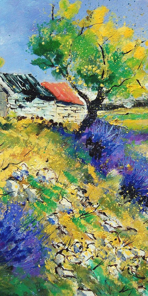Lavender  in Provence - 6523 by Pol Henry Ledent