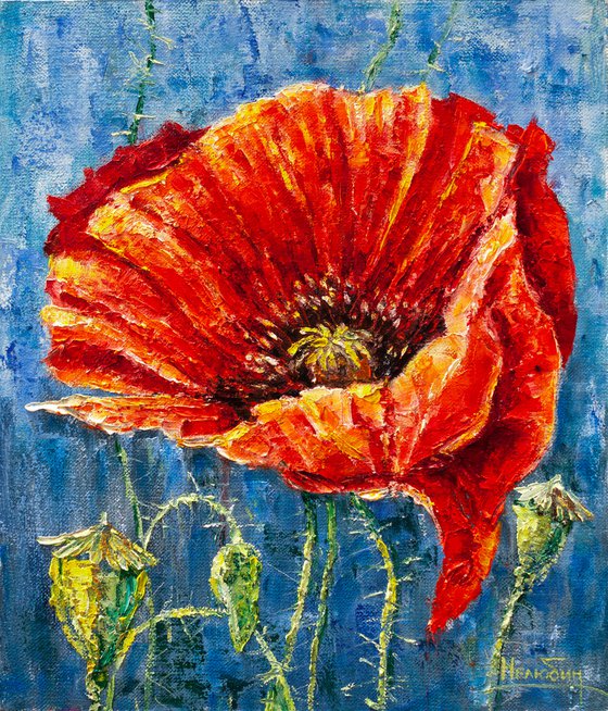 Poppy