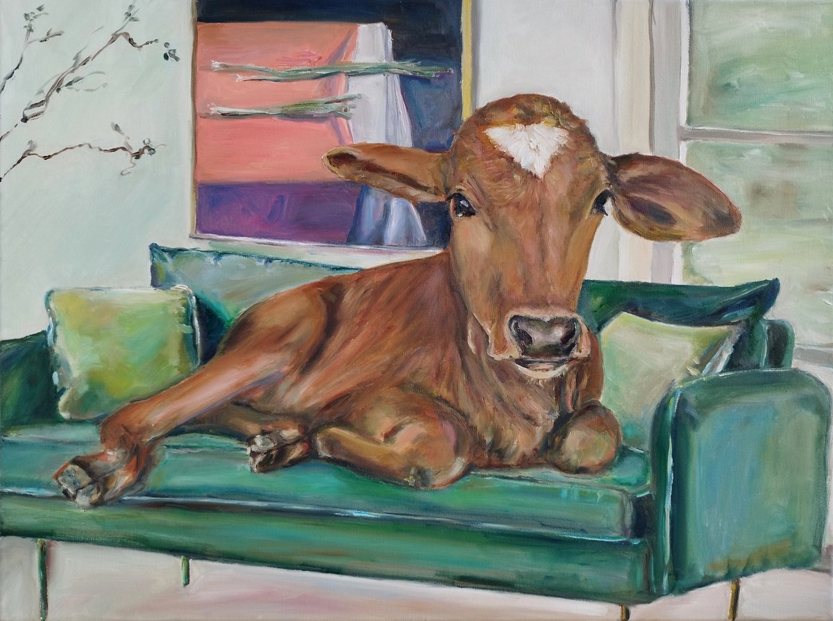 Brown Cow On Green Couch by Jura Kuba Art