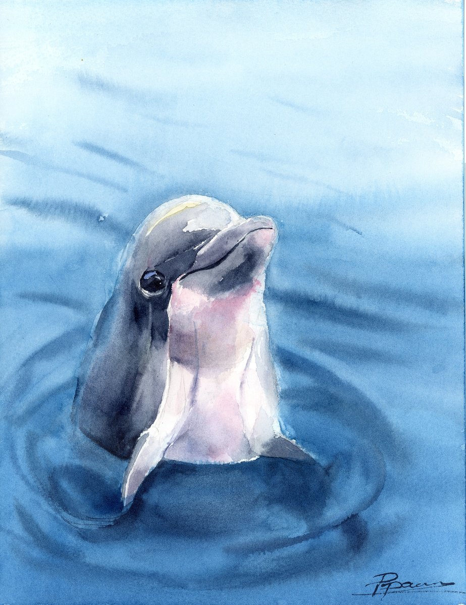 Dolphin by Olga Tchefranov (Shefranov)