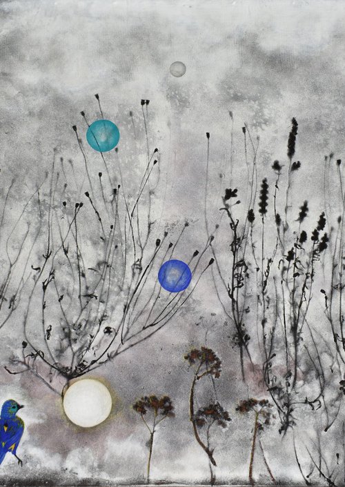 MentreCerchiamoUnPratoVerde... by Milena Nicosia