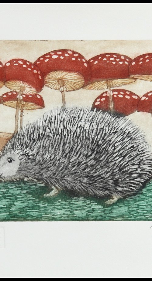 Hedgehog by Mariann Johansen-Ellis