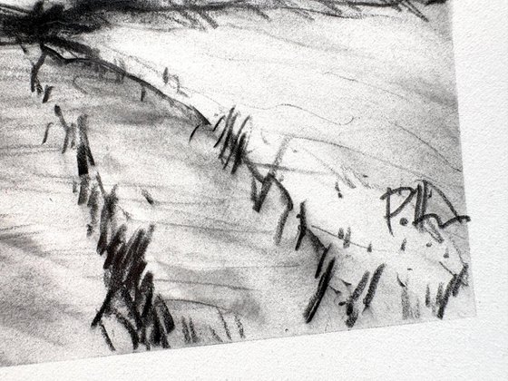 Pennsylvania Fields 3