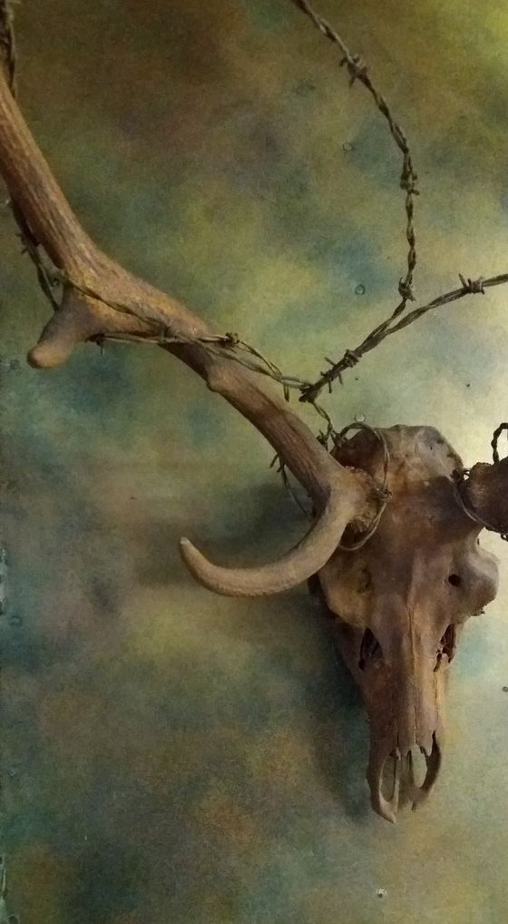 OATHKEEPER 'Game of Thrones' inspired stags head sculpture