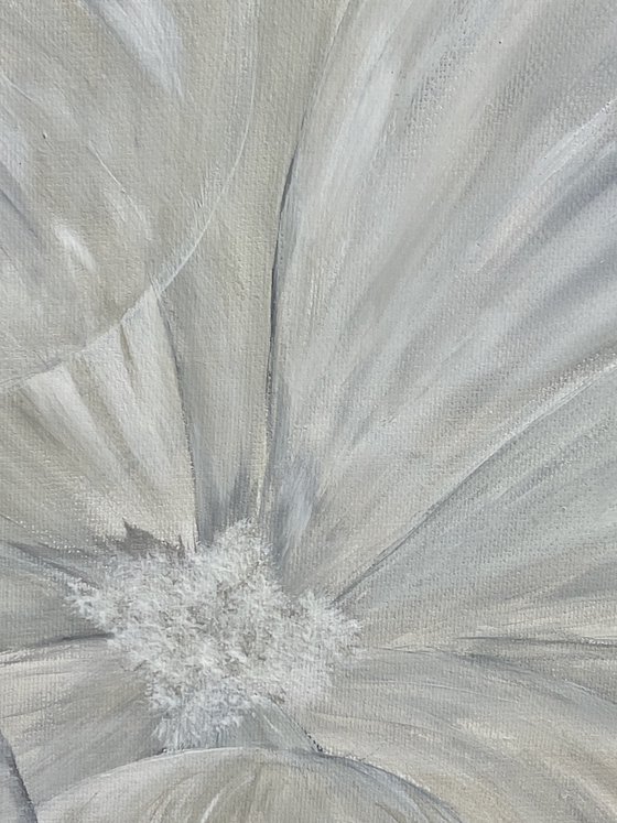 Number 0031