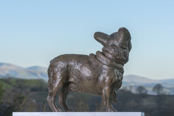 French Bulldog Lifting Paw BR