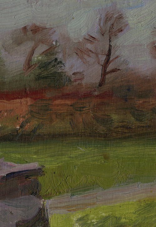 Early Spring in Longford Park by Anastasia Borodina