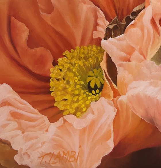 The Poppies Dance