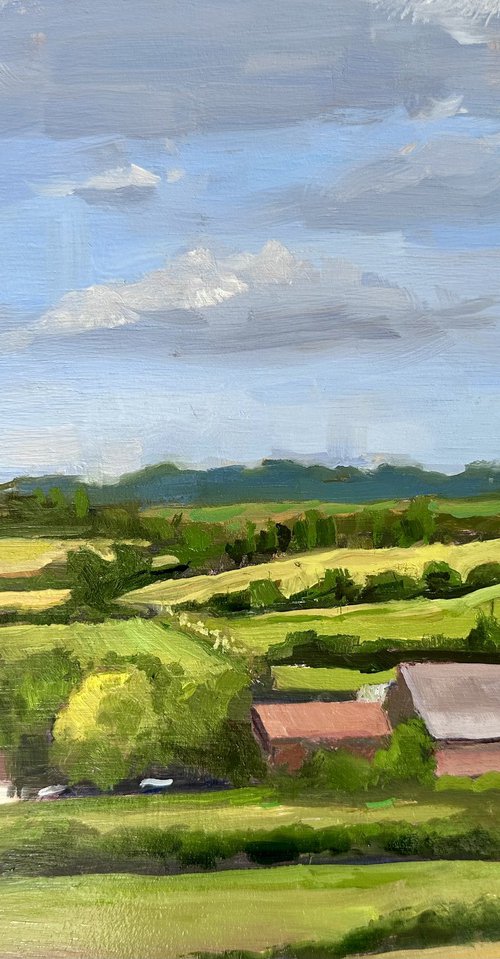 Lincolnshire Woods farm by Toni Swiffen