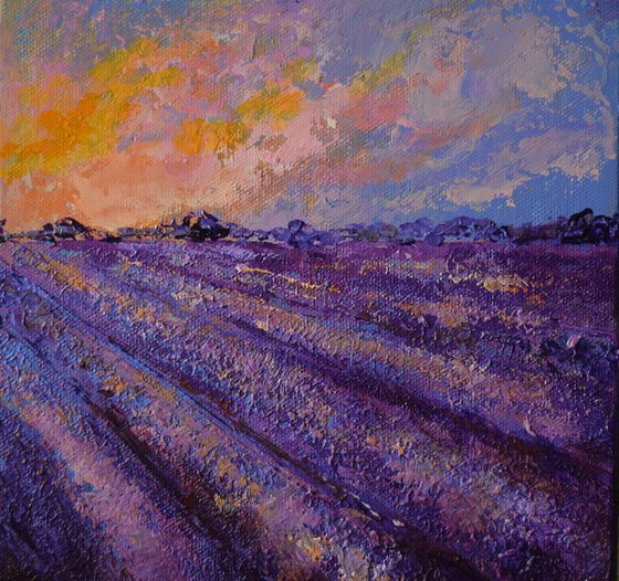 Lavender Field no1 (Small Landscape)