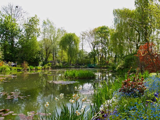 Le jardin d'eau au printemps