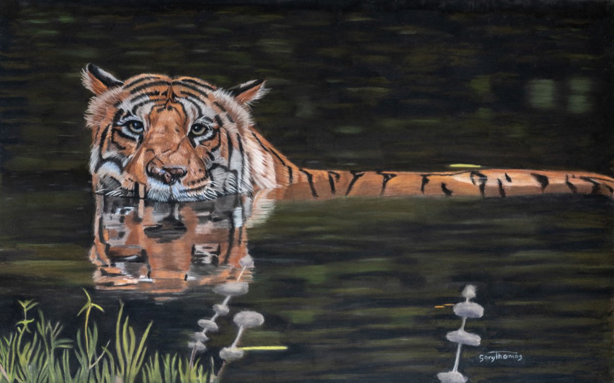 Photorealistic Animal Pastel Drawing By Gary Thomas, 28 X 20, Pastel Of Chhota Matka, Original Artwork