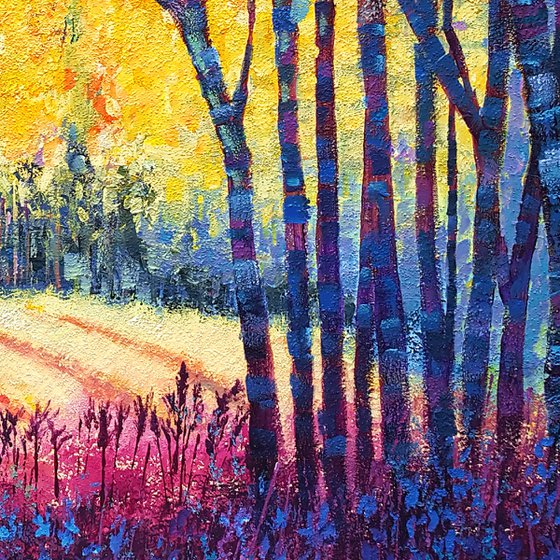 Sunbeams in the forest