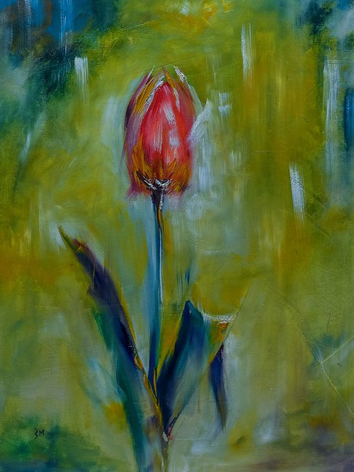 Tulip flower. Flower in garden. Flower for gift by Marinko Šaric