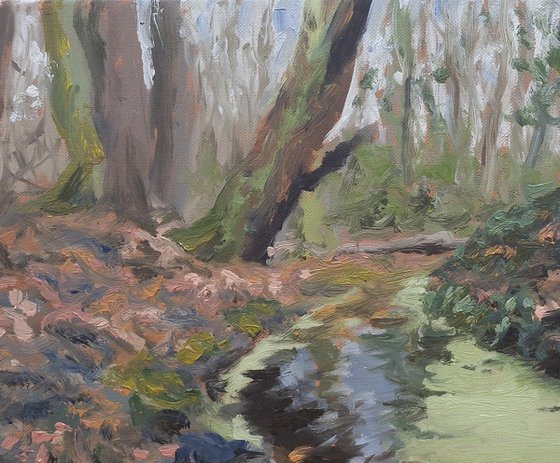 Woodland Stream