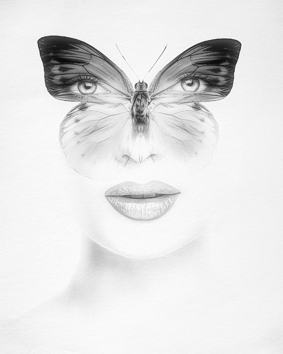 Metamorphosis V by Erik Brede