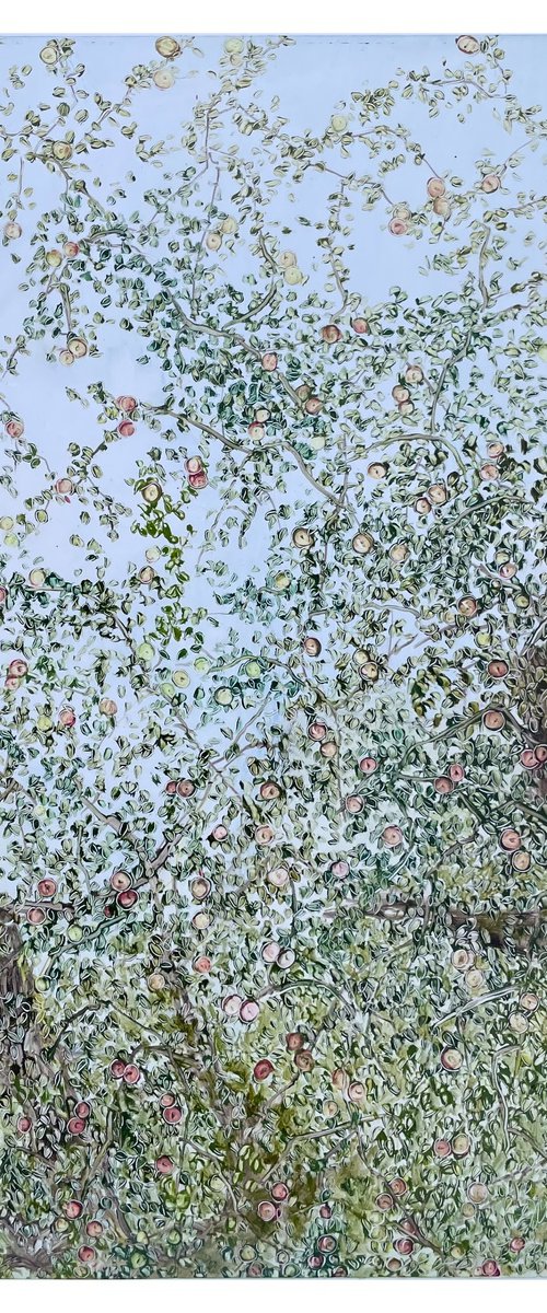 Apple trees and blue sky by Maija Nochevnaya