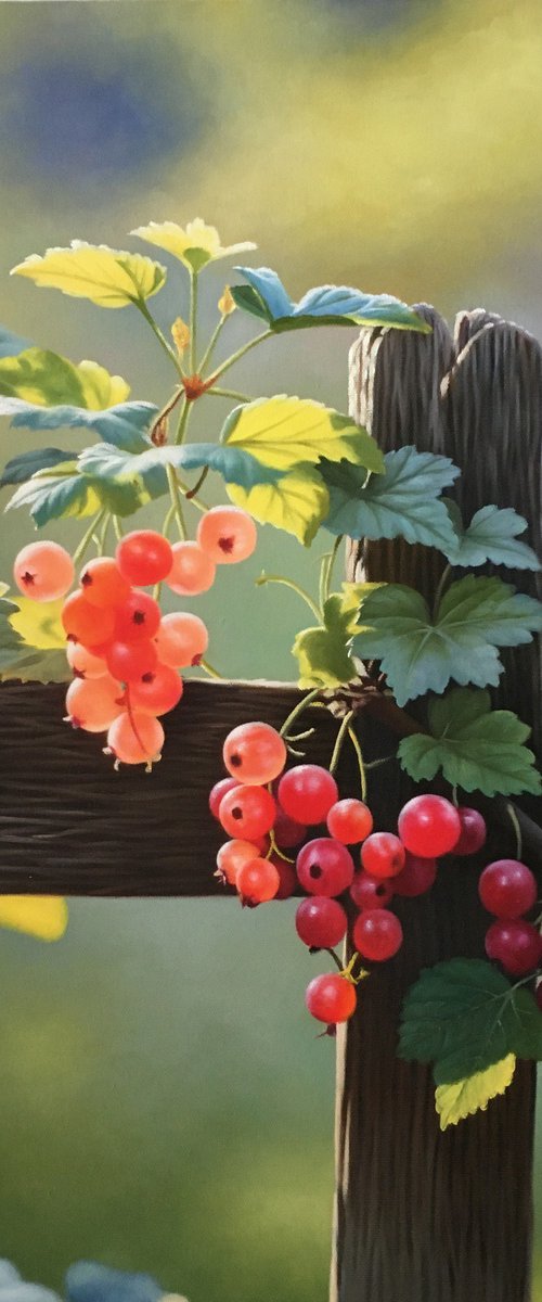 Summer t271 by Kunlong Wang