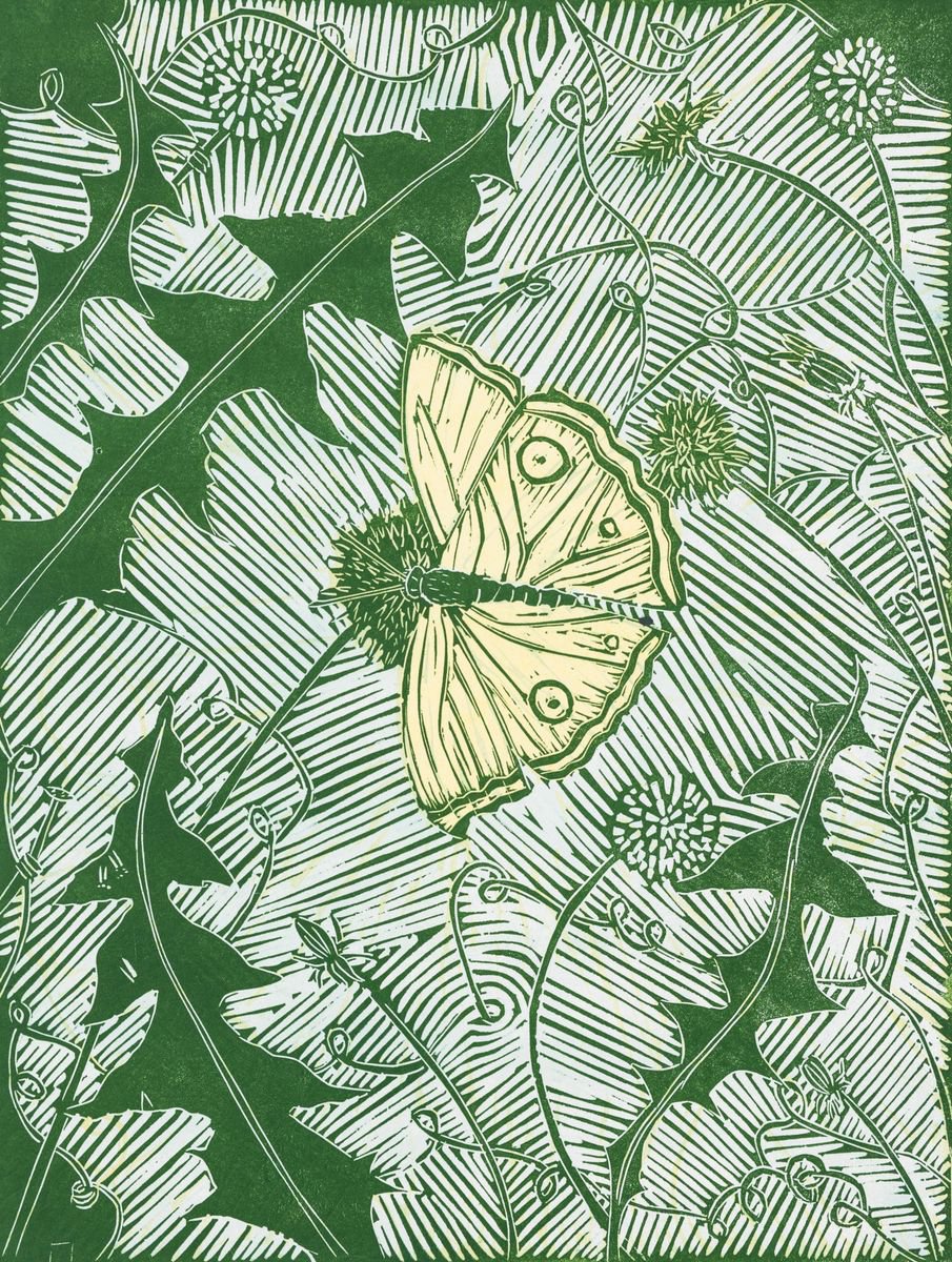 Butterfly on Dandelions by Danielle Stretch