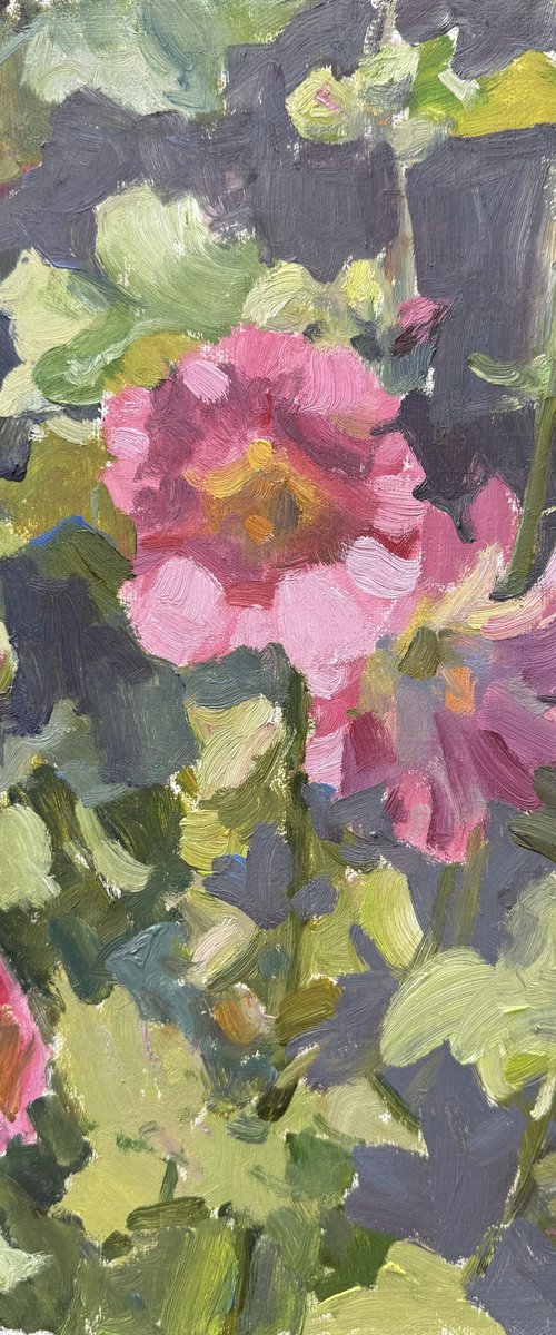 Pink Mallows by Nataliia Nosyk