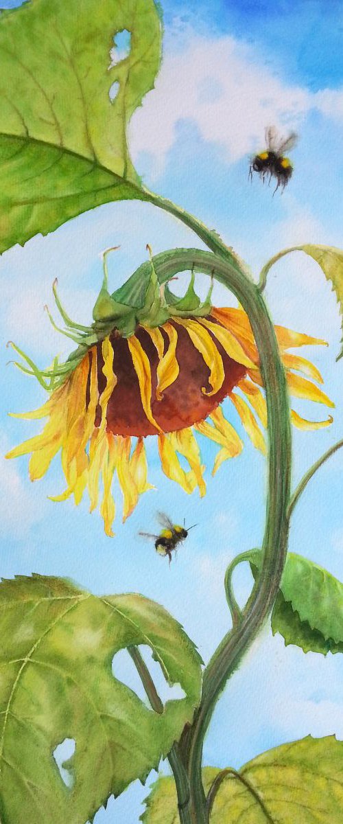 The Sunflower and the Bumblebe by Olga Beliaeva Watercolour