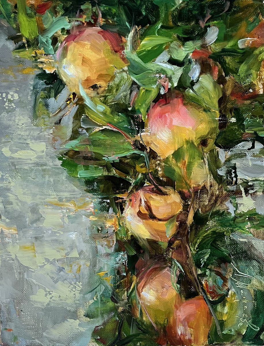 SWEET APPLES - PROVENCE by Elena Mashajeva-Agraphiotis