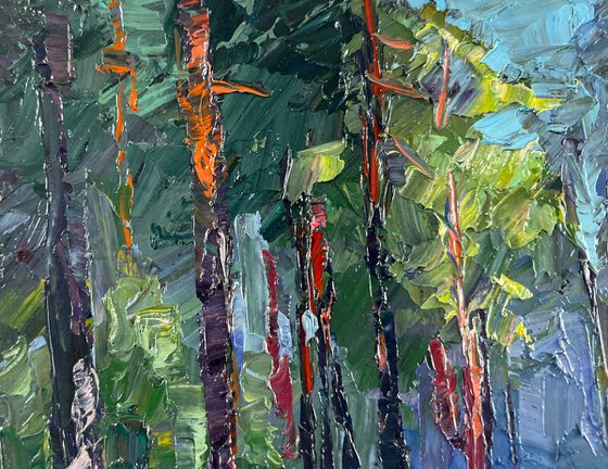 The Silence of the Summer Forest