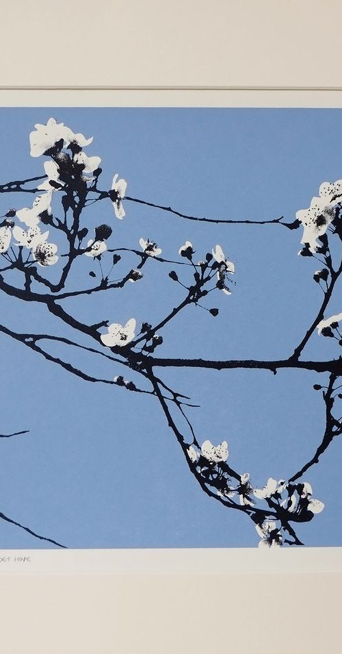 Where flowers bloom, so does hope by Lene Bladbjerg