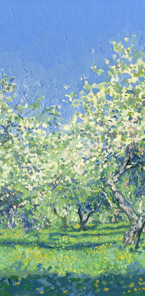 Apple tree in bloom. Kolomenskoye by Simon Kozhin